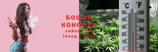 PSILOCYBIN Новозыбков