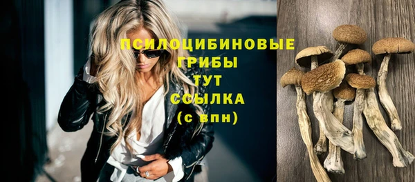 PSILOCYBIN Новозыбков