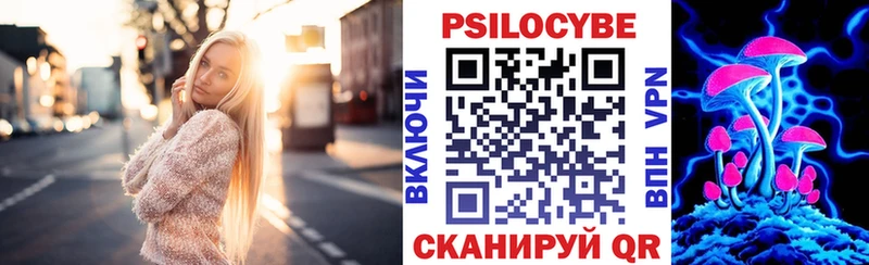 как найти закладки  Луза  Псилоцибиновые грибы ЛСД 